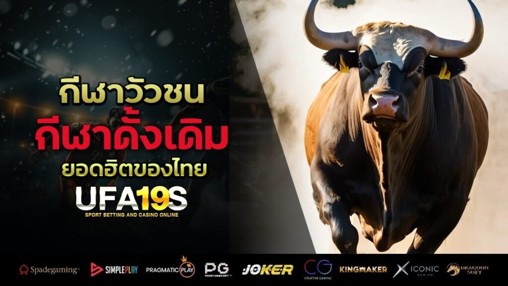 กีฬาวัวชน กีฬาดั้งเดิม ยอดฮิตของไทย 1 เล่นบอลออนไลน์ UFABET เว็บบอล เว็บแท้ คาสิโน บาคาร่า สล็อต ครบจบที่เดียว UFA19S เล่นบอลออนไลน์ UFABET คาสิโนออนไลน์ UFA19s เล่นบอลออนไลน์ UFABET เว็บบอล เว็บแท้ คาสิโน บาคาร่า สล็อต ครบจบที่เดียว UFA19S